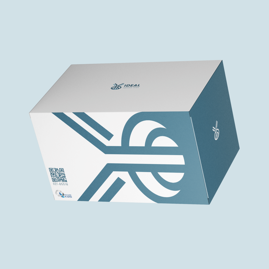 Package-design-1png